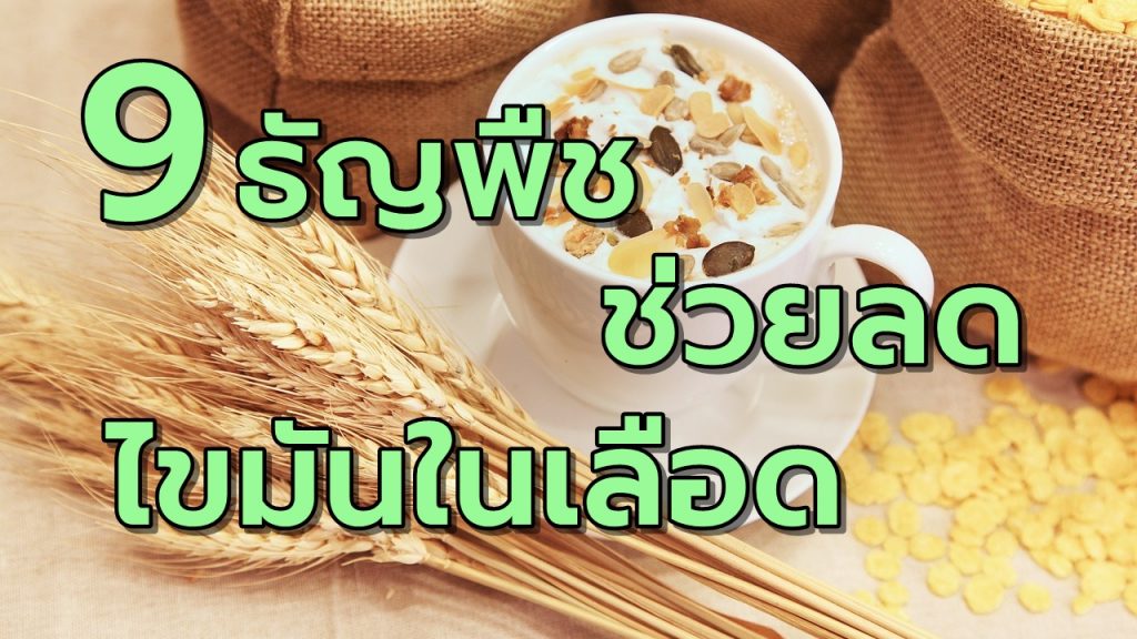 9ธัญพืชช่วยลดไขมันในเลือด