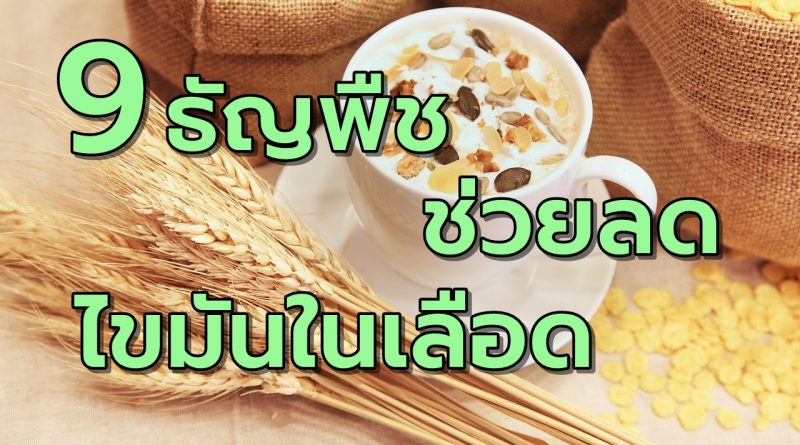 9ธัญพืชช่วยลดไขมันในเลือด
