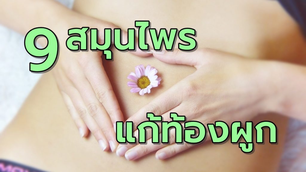 9สมุนไพรแก้อาการท้องผูก