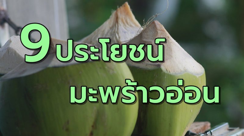 9ประโยชน์มะพร้าวอ่อน
