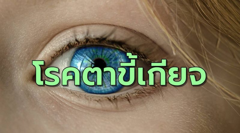 โรคตาขี้เกียจ มีตาเพียงข้างเดียวที่ทำงาน