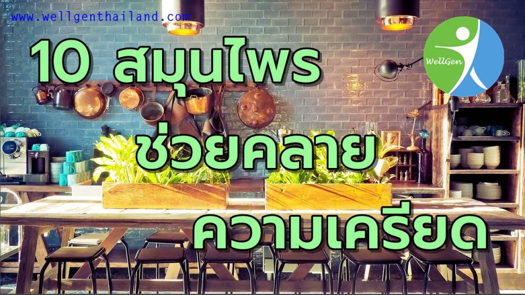 10สมุนไพรช่วยคลายความตรึงเครียด
