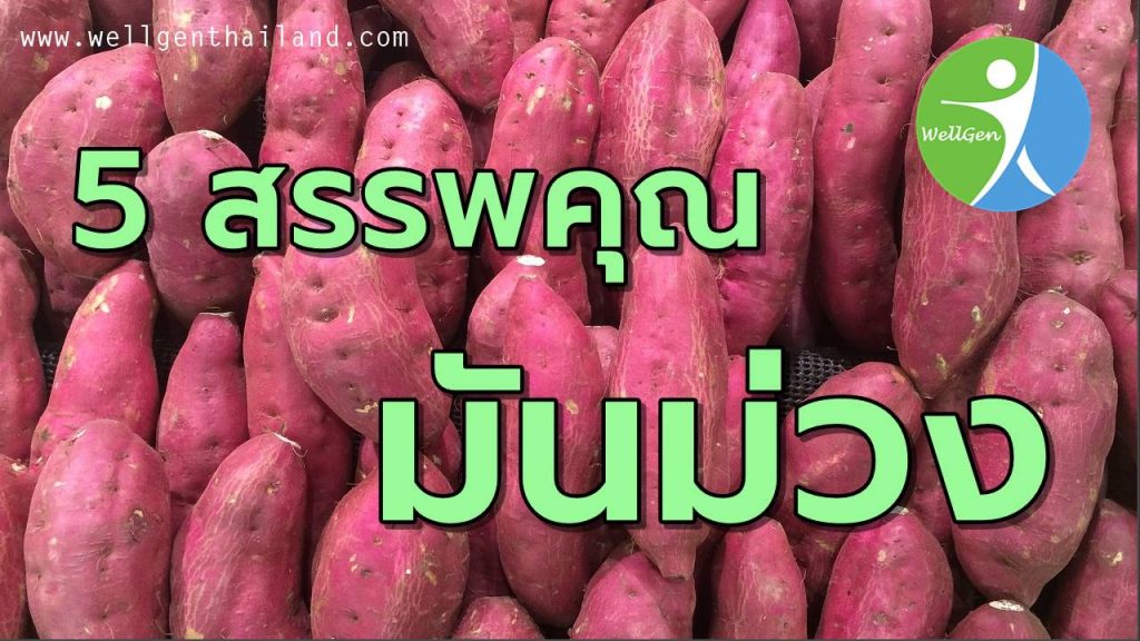 มันม่วงกับ5ประโยชน์ที่ดีต่อสุขภาพ