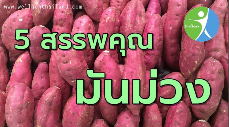 มันม่วงกับ5ประโยชน์ที่ดีต่อสุขภาพ