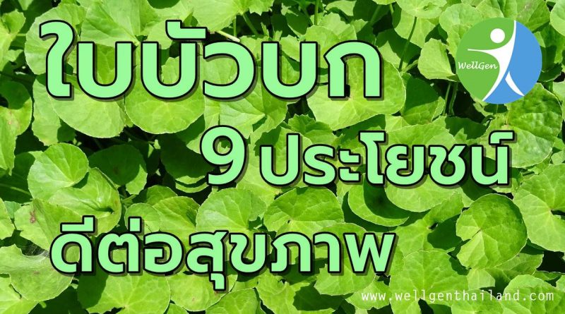 ใบบัวบก9ประโยชน์ดีต่อสุขภาพ