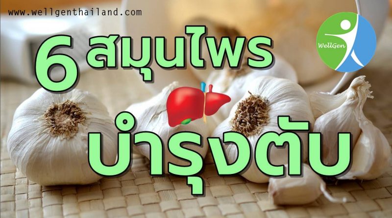 6สมุนไพรช่วยบำรุงตับ