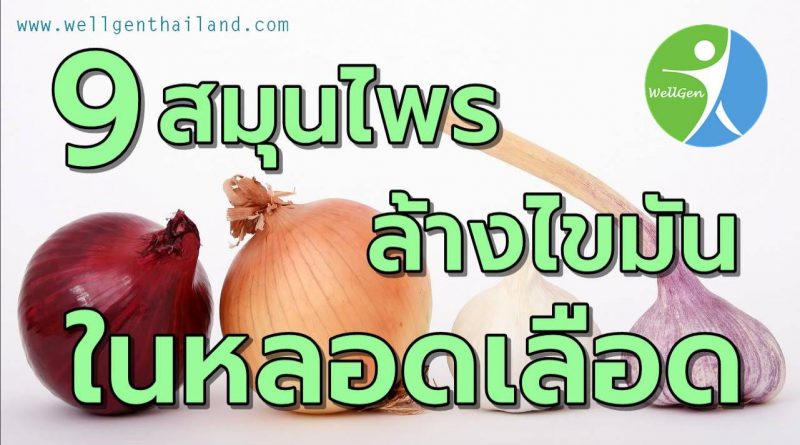 ตรวจสุขภาพประจำปีทุกที่ เจอไขมันในเลือดสูงตลอดแล้วจะมีสมุนไพรอะไรที่ช่วยล้างไขมันในหลอดเลือดให้สะอาด เลือดไหลผ่านได้สะดวกบ้าง 9สมุนไพรล้างไขมันในหลอดเลือด