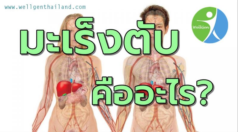 มะเร็งตับ คืออะไร