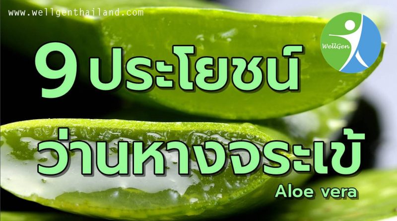 9ประโยชน์ว่านหางจระเข้