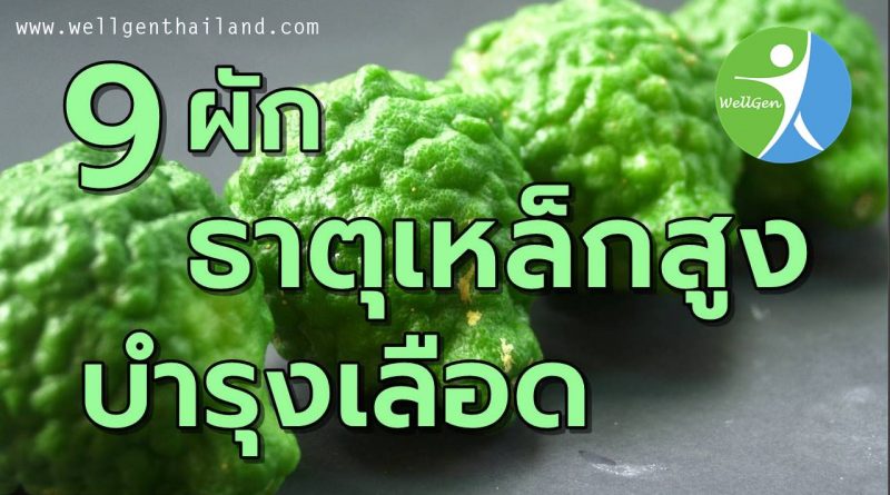 9ผักธาตุเหล็กสูงช่วยบำรุงเลือด