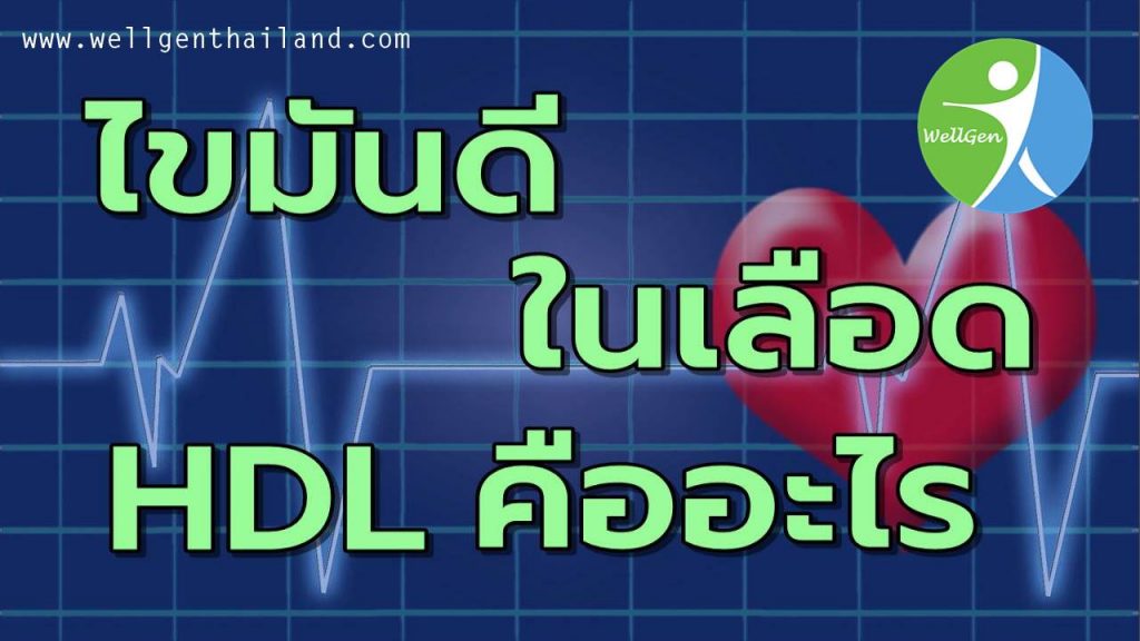 ไขมันดีHDLในเลือดคืออะไร