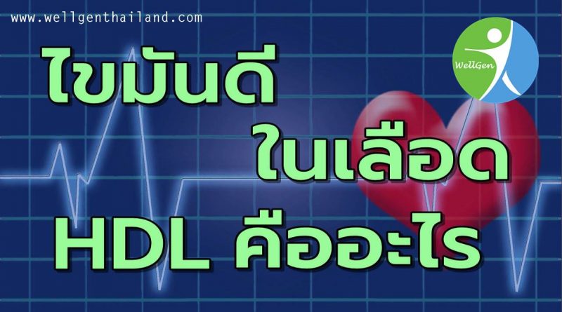 ไขมันดีHDLในเลือดคืออะไร