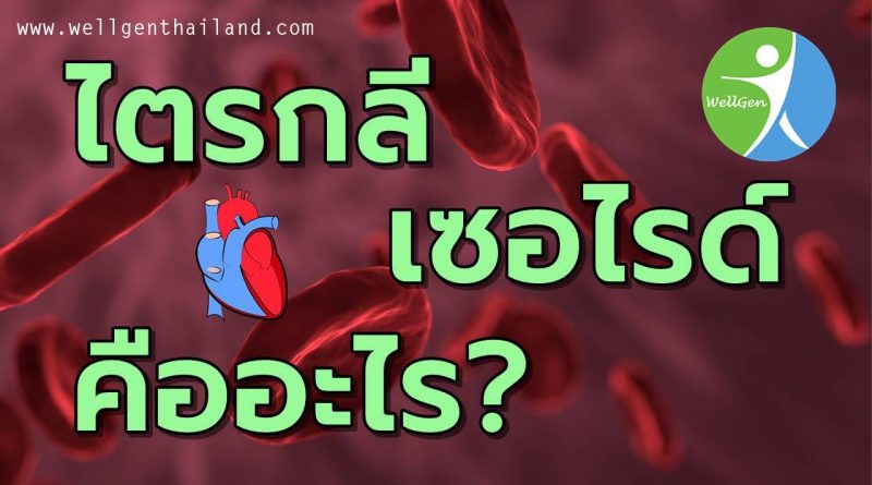 ไขมันในเลือด ไตรกลีเซอไรด์ คืออะไร