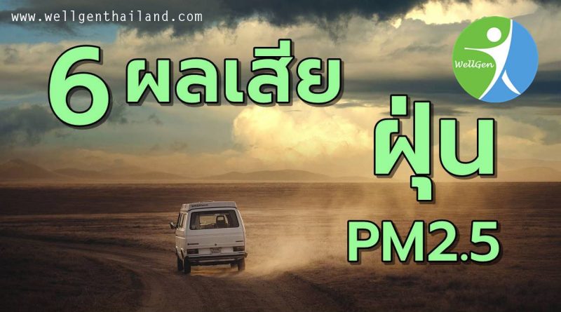 6ผลเสียต่อสุขภาพจากฝุ่นละอองPM 2.5