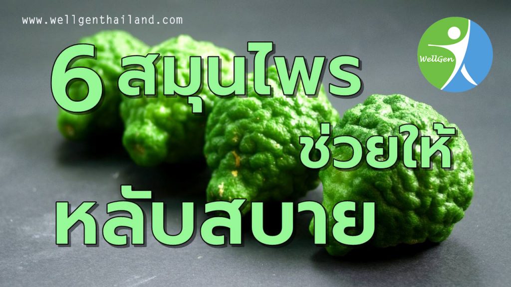 6สมุนไพรช่วยให้หลับสบาย