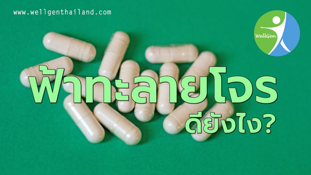 ฟ้าทะลายโจรใช้รักษาอะไรได้บ้างดียังไง