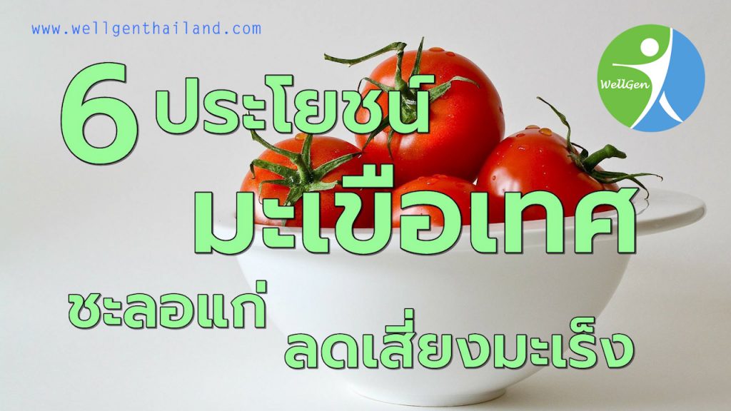 มะเขือเทศเป็นผลไม้ที่มีหลายคนชอบรับประทานและหลายคนไม่ชอบรับประทาน แต่มะเขือเทศมีประโยชน์ต่อสุขภาพมากหลาย 6ประโยชน์มะเขือเทศชะลอแก่ลดเสี่ยงมะเร็ง