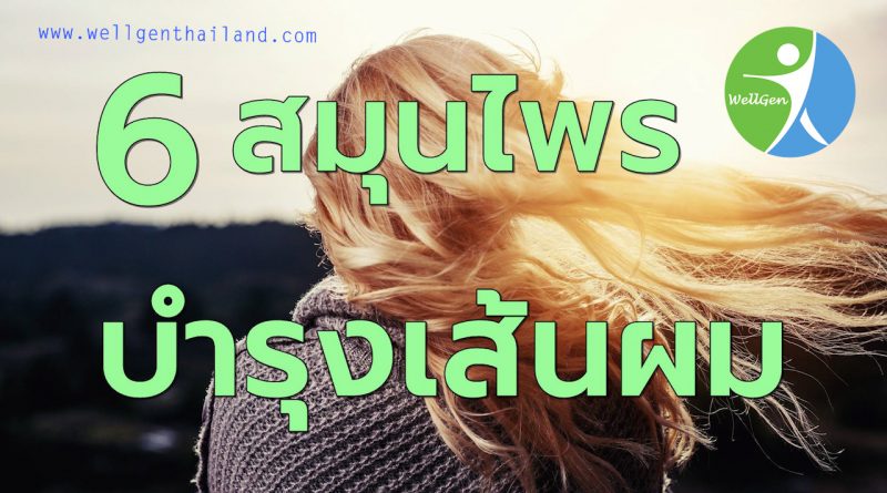 6สมุนไพรบำรุงเส้นผมให้เงางามไม่หลุดร่วงง่าย