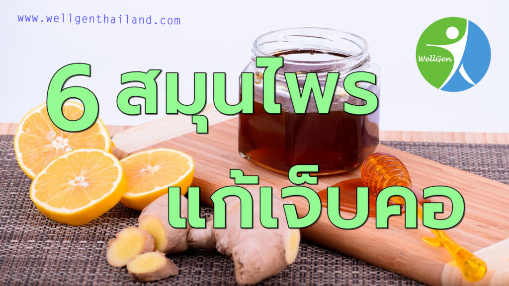 6สมุนไพรไทยแก้อาหารเจ็บคอ