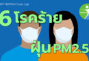 6โรคร้ายจากฝุ่นPM2.5