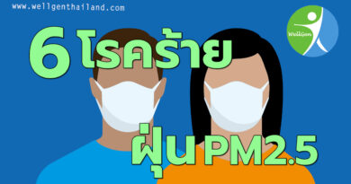 6โรคร้ายจากฝุ่นPM2.5