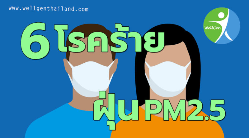 6โรคร้ายจากฝุ่นPM2.5