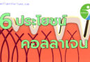 6ประโยชน์คอลลาเจนต่อร่างกาย