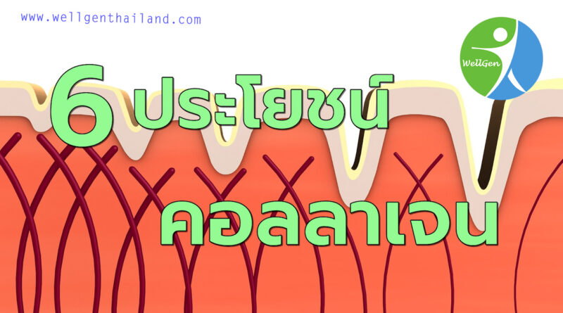 6ประโยชน์คอลลาเจนต่อร่างกาย