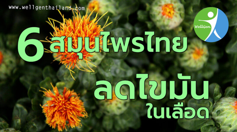 6สมุนไพรไทยลดไขมันในเลือด