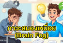 แก้สมองตื้อ เพลียสะสม นอนน้อย…ทำตาม 6 ข้อนี้ สมองไบร์ท ไอเดียพุ่งกระฉูด