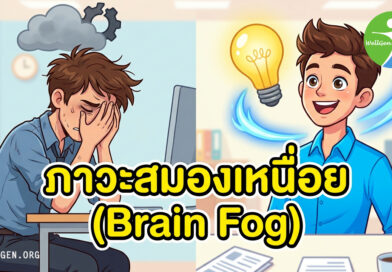 แก้สมองตื้อ เพลียสะสม นอนน้อย…ทำตาม 6 ข้อนี้ สมองไบร์ท ไอเดียพุ่งกระฉูด