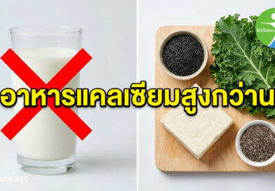 ลืมเรื่องดื่มนมไปได้เลย! 5 อาหารแคลเซียมสูงกว่านม 10 เท่า ที่คนไทยเข้าใจผิดมาตลอดชีวิต
