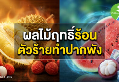 หวานเป็นลม… ร้อนเป็นแผล? เปิดลิสต์ผลไม้ "ฤทธิ์ร้อน" ตัวร้าย และวิธีแก้ร้อนในแบบฉบับสายเฮลตี้