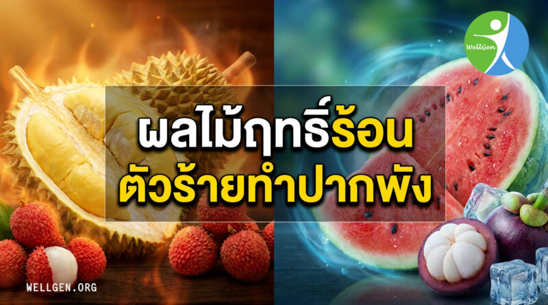 หวานเป็นลม… ร้อนเป็นแผล? เปิดลิสต์ผลไม้ "ฤทธิ์ร้อน" ตัวร้าย และวิธีแก้ร้อนในแบบฉบับสายเฮลตี้