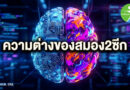 เจาะลึกความจริงเบื้องหลัง “สมองสองซีก” กับความลับที่รอให้คุณปลดล็อก