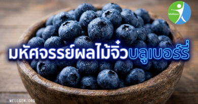 มหัศจรรย์ผลไม้จิ๋วบลูเบอร์รี่