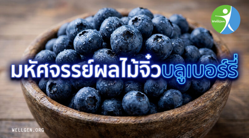 มหัศจรรย์ผลไม้จิ๋วบลูเบอร์รี่