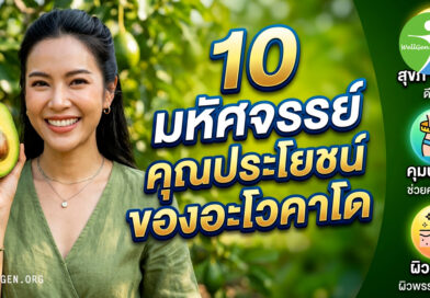 มากกว่าแค่ ‘ไขมันดี’: 6 ความลับของอะโวคาโดที่จะเปลี่ยนมุมมองสุขภาพของคุณไปตลอดกาล