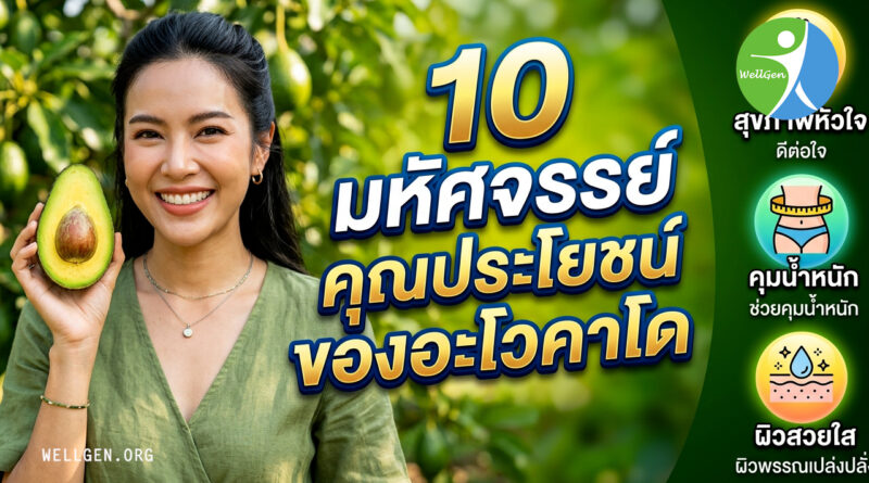 มากกว่าแค่ ‘ไขมันดี’: 6 ความลับของอะโวคาโดที่จะเปลี่ยนมุมมองสุขภาพของคุณไปตลอดกาล